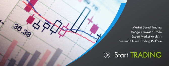 Forexserve careers